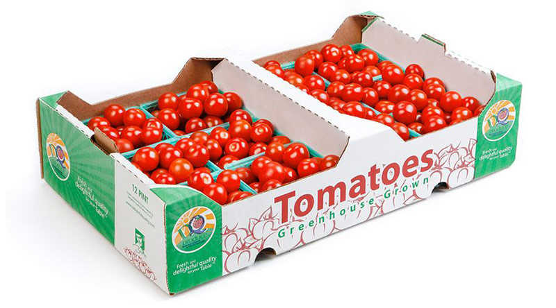 کفی گوجه گیلاسی